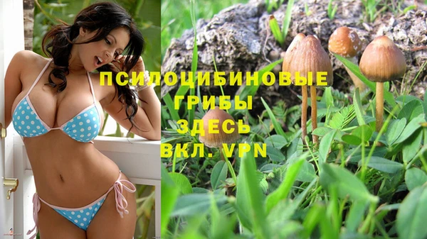 синтетический гашиш Абдулино
